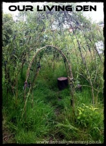 "Living Willow Den"