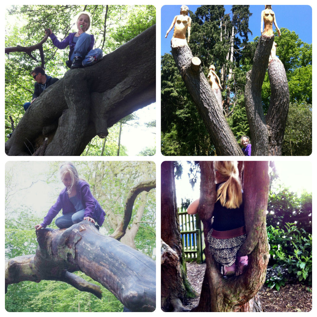 "climbing trees"