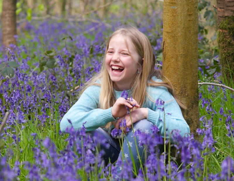 Where to see bluebells in Hertfordshire