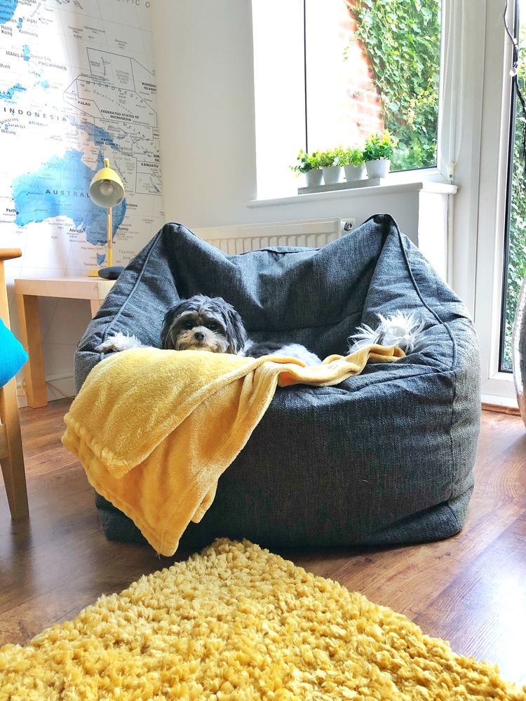 Teenager on sale bean bag