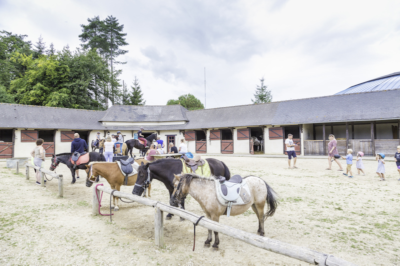 Pony rides around the parc